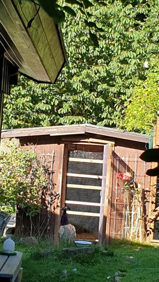 Ferienhaus Nr. 60 Im Ferienpark Am Twistesee باد آرولزن المظهر الخارجي الصورة