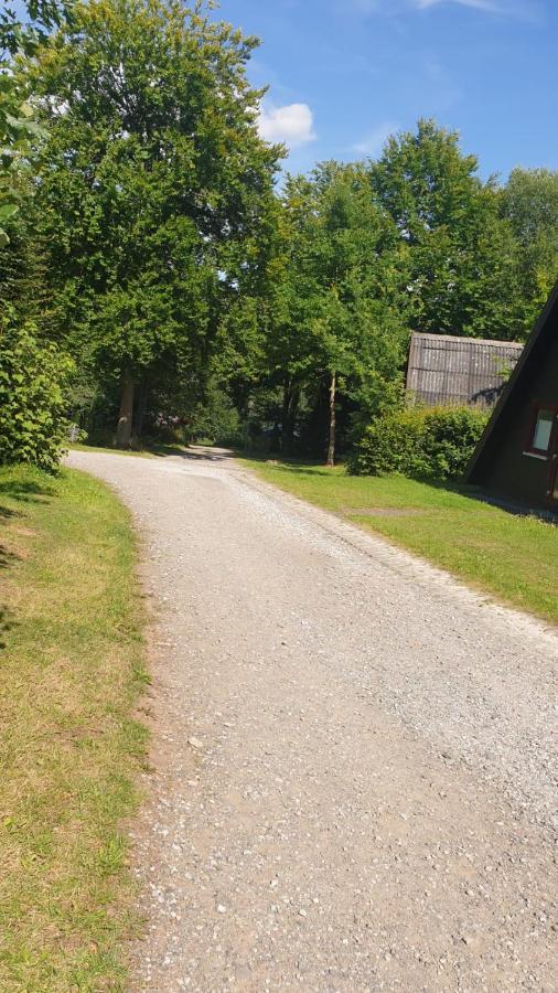 Ferienhaus Nr. 60 Im Ferienpark Am Twistesee باد آرولزن المظهر الخارجي الصورة